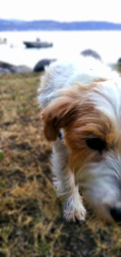 Il Giardino Di Laura Apartman Toscolano-Maderno Kültér fotó